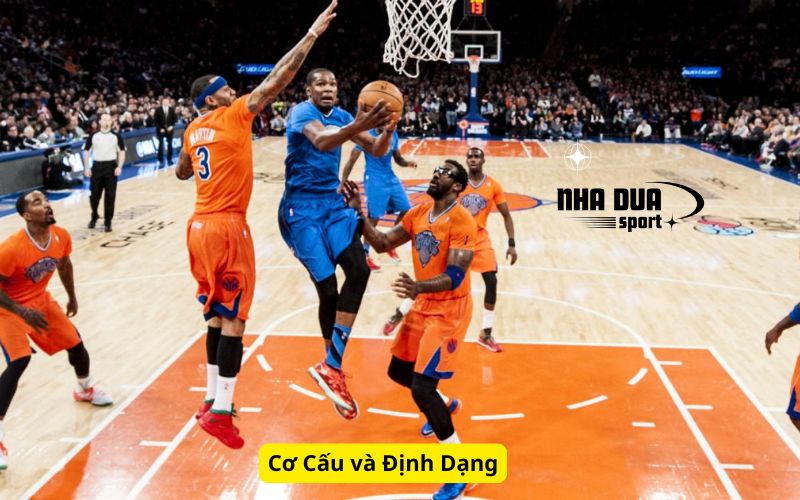 Cơ Cấu và Định Dạng