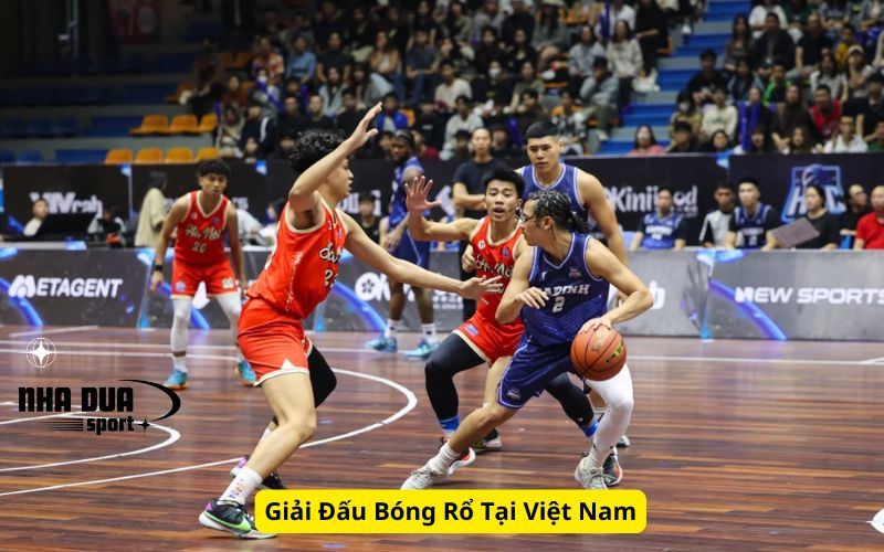 Giải Đấu Bóng Rổ Tại Việt Nam