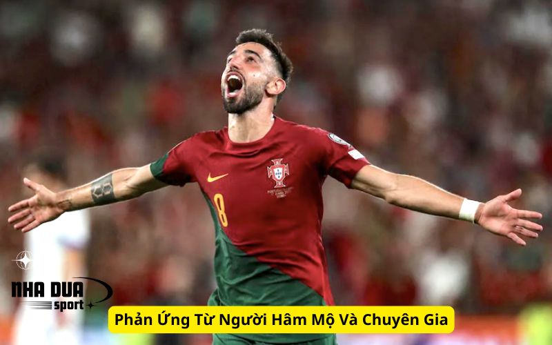 Phản Ứng Từ Người Hâm Mộ Và Chuyên Gia