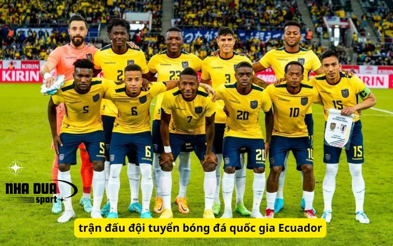 trận đấu đội tuyển bóng đá quốc gia Ecuador