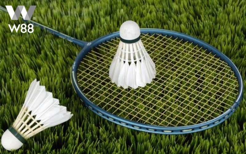 Những lưu ý quan trọng trước khi tham gia cược cầu lông