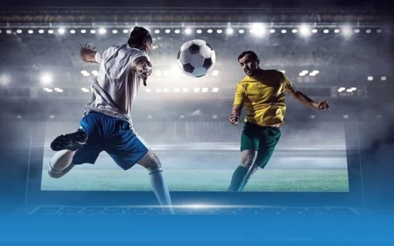 Vai trò của công nghệ và thuật toán tự động