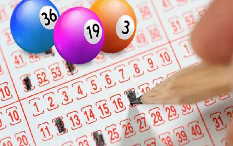 Mẹo nuôi khung ngày giúp tối ưu hóa vốn đầu tư số học